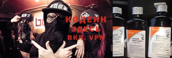дмт Пестово