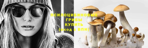 дмт Пестово