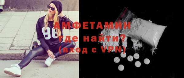 хмурый Белая Холуница