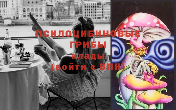 дмт Переславль-Залесский