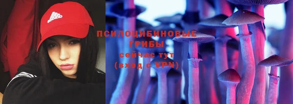 хмурый Белая Холуница