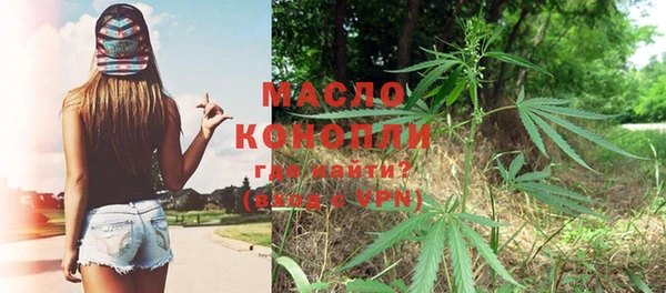 дмт Пестово