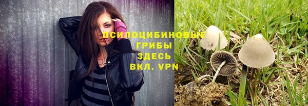 дмт Переславль-Залесский
