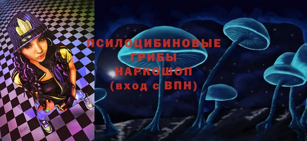 дмт Переславль-Залесский
