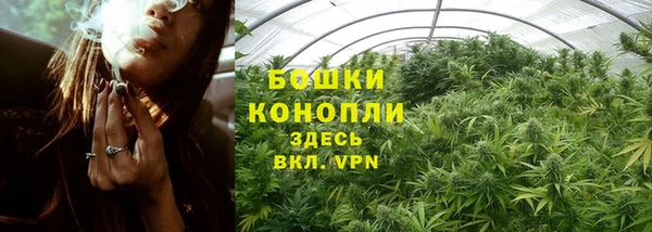 дмт Пестово