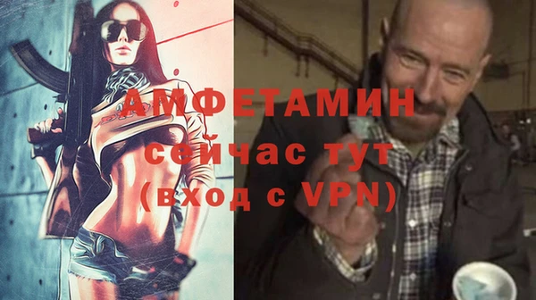дмт Пестово