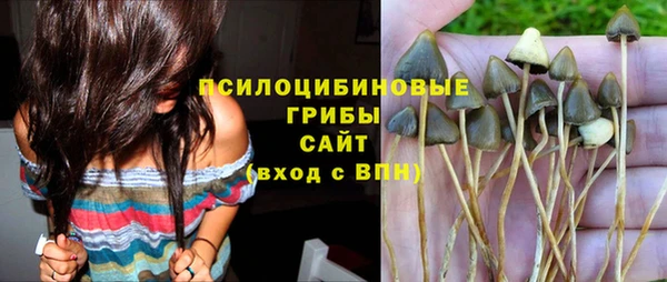 2c-b Пересвет
