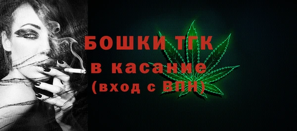 дмт Переславль-Залесский