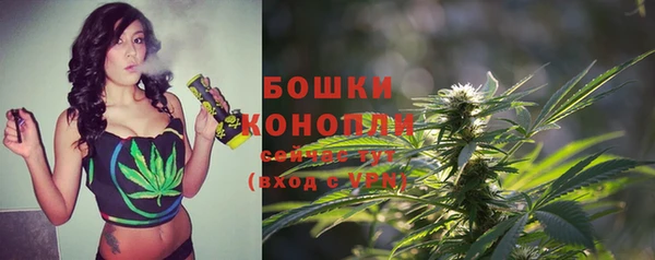 дмт Пестово